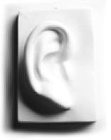 Illustration of an ear representing active listening.